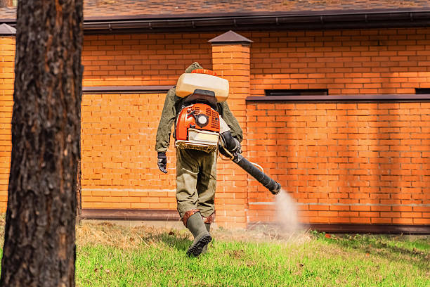 Trusted Bed Bug Control service in Cornwall-on-Hudson, NY - Nex Pest Control